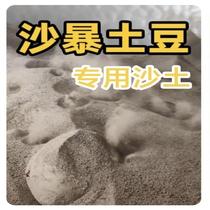 10 pounds of fried potato sand natural color round sand fried potato sand fried melon seeds and peanut special sand