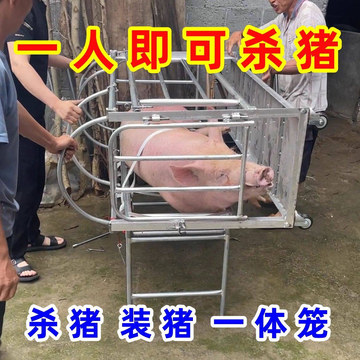 杀猪运输一体笼，如何让养猪场告别繁琐操作？🔥专业解析与推荐-猪栏猪笼-淘宝好物网