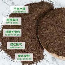 Use humus to cultivate orchids. Use humus soil to cultivate orchid green.