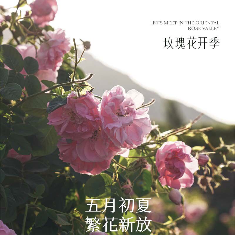 花田的护肤店