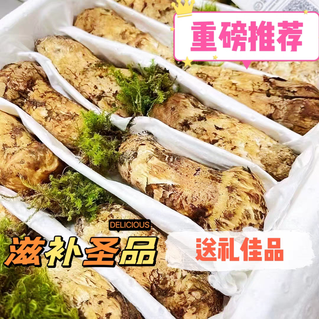 正宗香格里拉野生松茸新鲜到手!出口级不开伞到底有多珍贵?-新鲜松茸-淘宝百科网