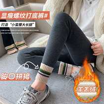 Sheep wool leggings for womens outer wear plus velvet and thickening autumn and winter contrasting color warm cotton pants gray high-waisted long johns