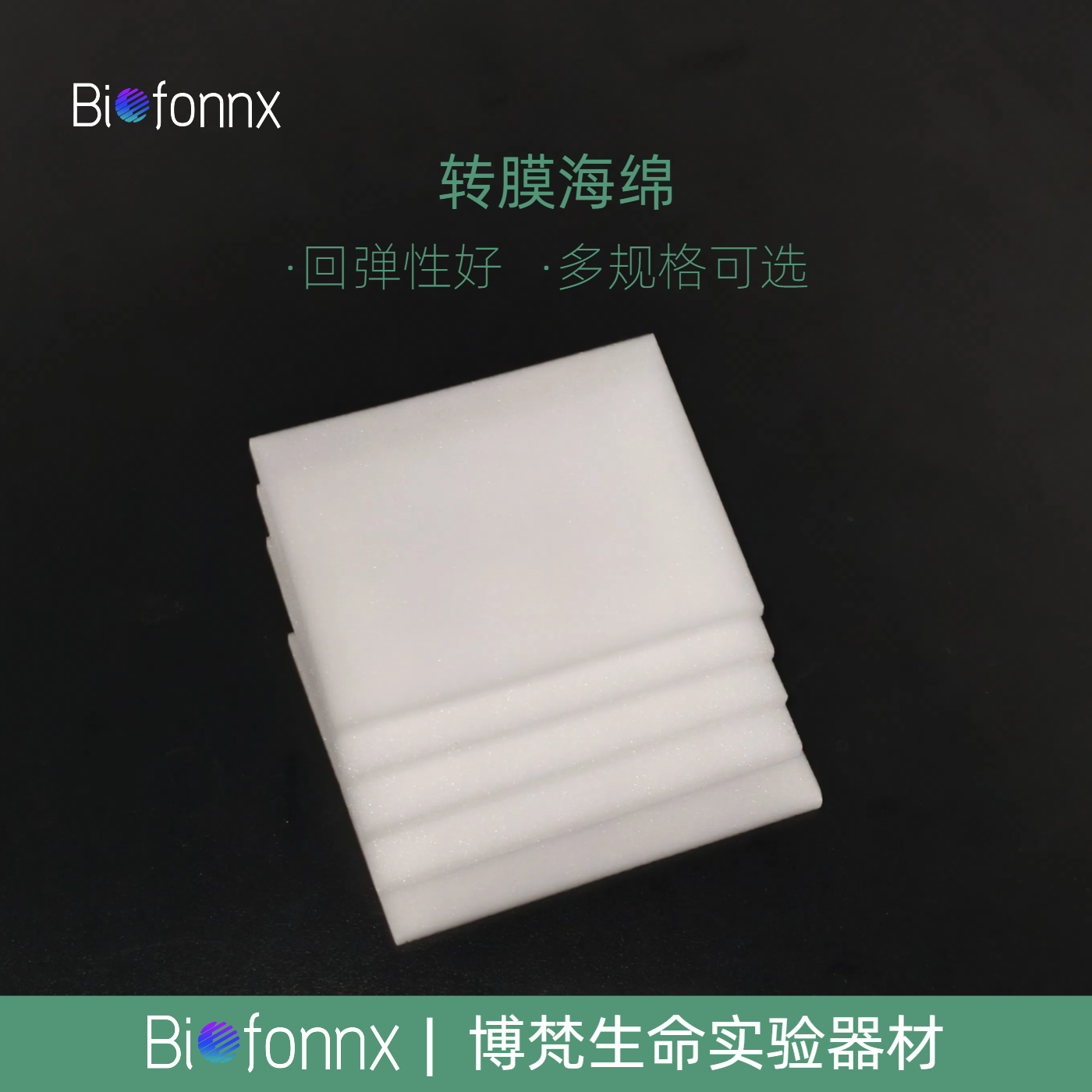 实验室WB免滤纸转膜海绵 湿转衬垫多孔垫 无需滤纸 通用伯乐/天能