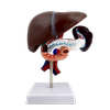 Teaching Simulation Model of Liver, Gallbladder, Pancreas, and Duodenum Structure, Digestive System Medical Liver, Pancreas, and Gallbladder Model
