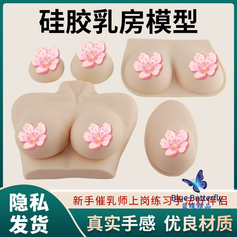 高级医学仿真女性乳房义乳假乳催乳师培训教具哺乳教学纯硅胶模型
