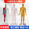 85cm Traditional Chinese Medicine Acupuncture Point Human Body Model Teaching Model Full Body Twelve Meridians Chart Half Leather Half Skeleton Anatomical Copper Manikin