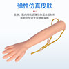 Simulated Human Arm Infusion, Injection, Blood Collection and Puncture Training Model, Infusion Arm Venipuncture Injection Model