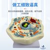 Animal and Plant Cell Model Microscopic Structure Anatomy Model Cell Membrane Cytoplasm Nucleus Mitochondria