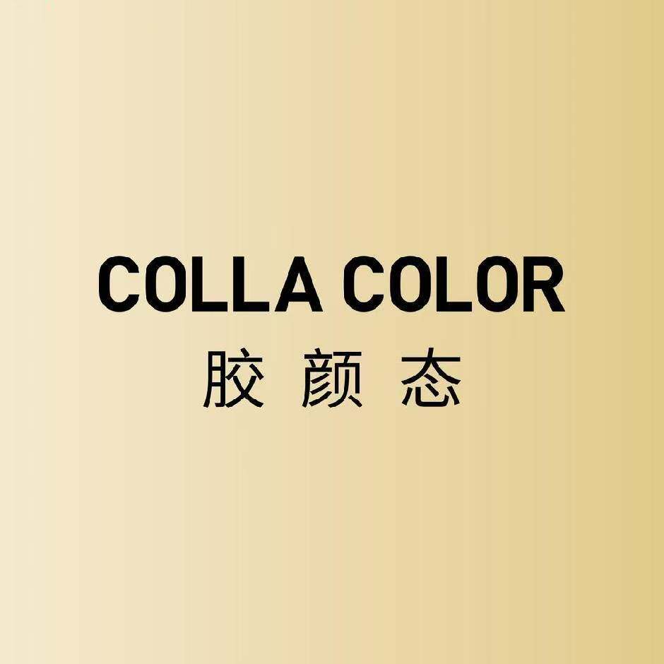 胶颜态企业店的LOGO