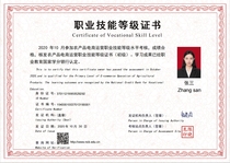 National 1X Vocational Skill Level Certificate Application Service