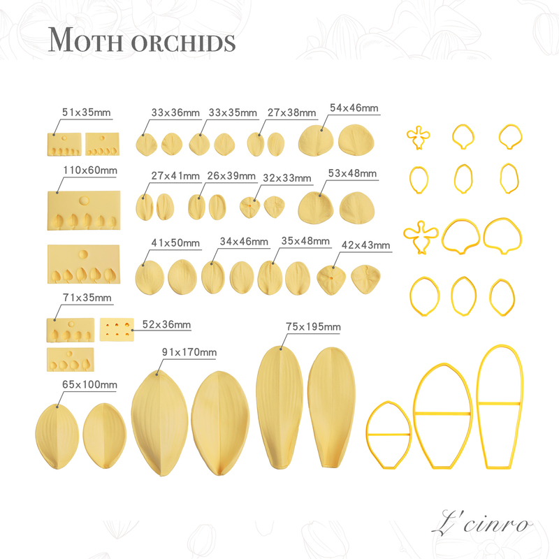 L'Cinro Original丨【Phalaenopsis】Clay Fondant Flower Full Set of Pattern Cutting Dies L'Cinro Original丨【Phalaenopsis】Clay Fondant Flower Full Set of Pattern Cutting Dies