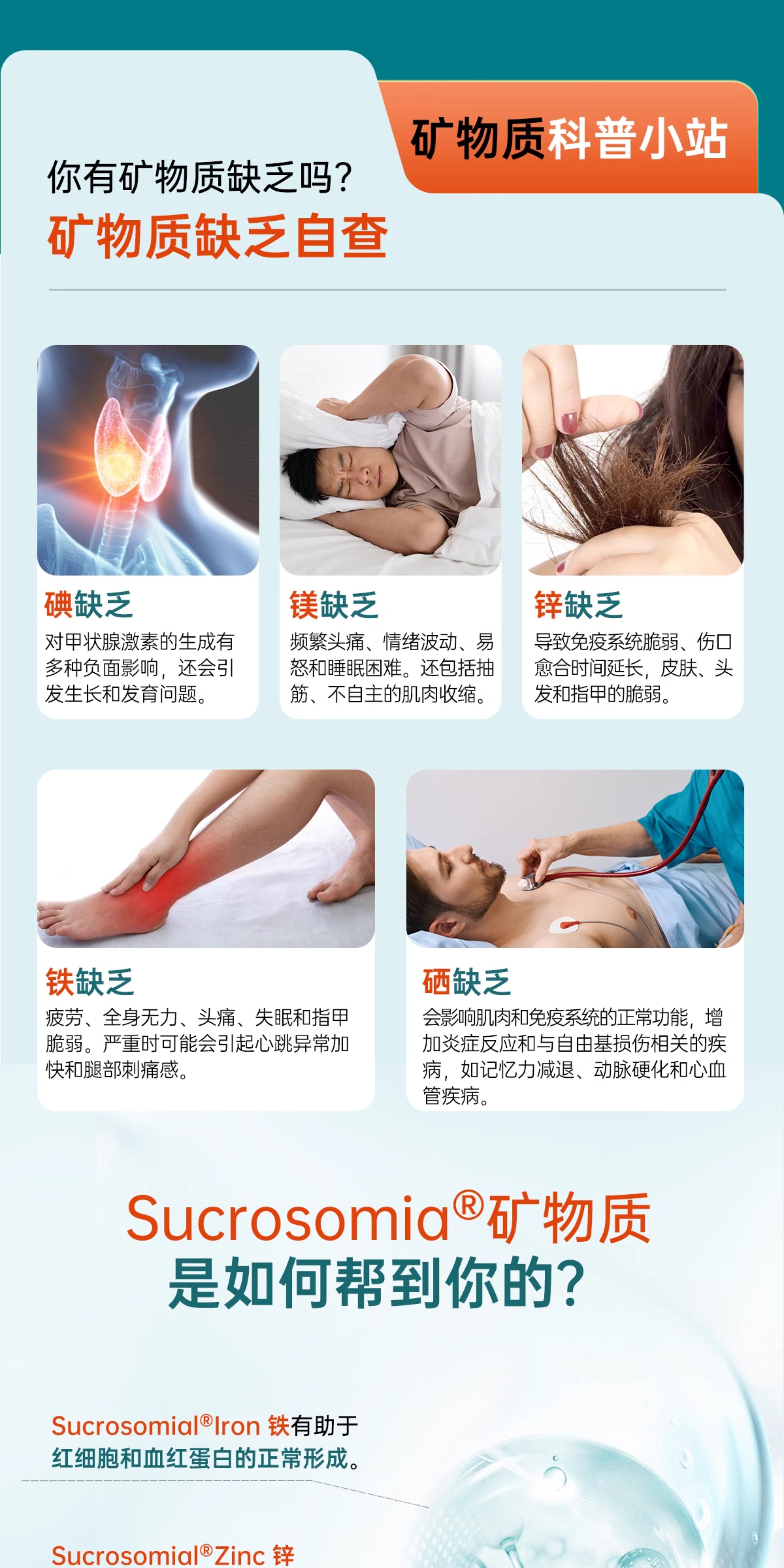 ApportAL成人復(fù)合維生素