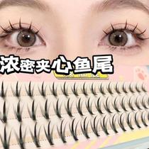 Internet celebrity popular new octopus false eyelashes thick sandwich fish tail 16 columns single cluster segmented grafted fairy hair