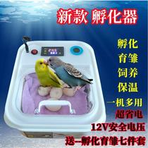 Incubator water bed small egg incubator parrot quail chicks duck goose egg incubator fully automatic household incubator