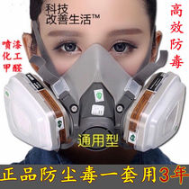 German imported 6200 gas mask spray paint formaldehyde decoration polishing special dust mask paint pesticide mask