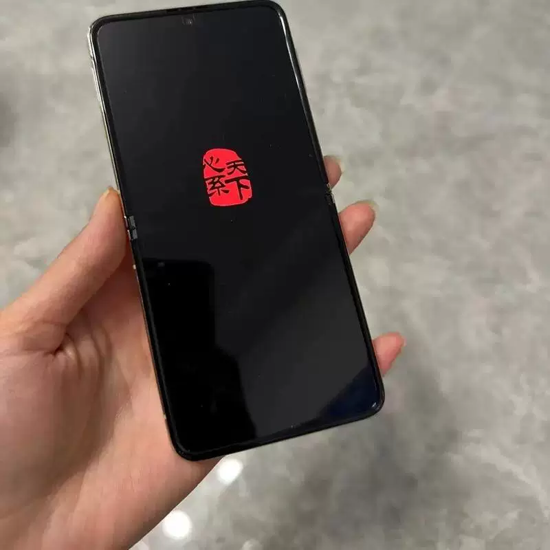 Сегмент Samsung/ W24 Flip SM-W7024ZWACHC заботится о мире складной экран оригинальный национальный банк
