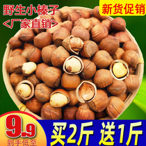 2023 New Northeast Tieling Wild Hazelnut Original Fresh Thin-Skinned Fried Nuts Snack Gift Box for Pregnant Women and Children