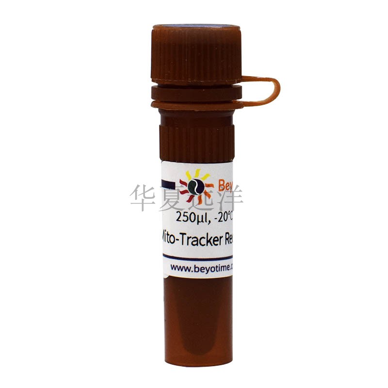 C1049B-250&mu;g，Mito-Tracker Red CMXRos (线粒体红色荧光探针)