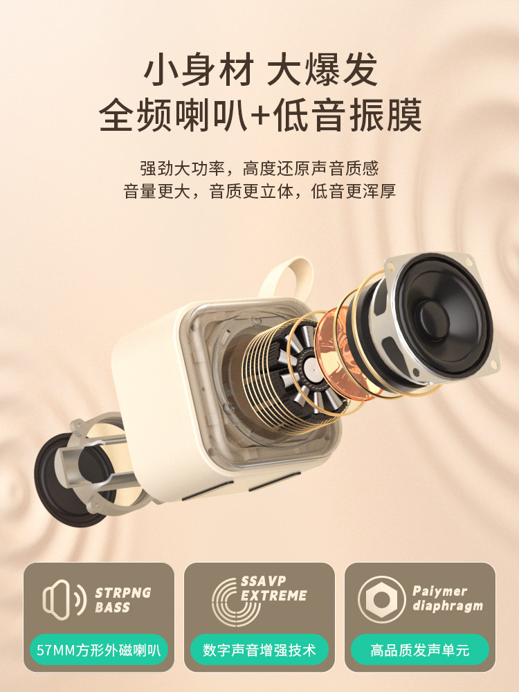 Soaiy Sk22 Microphone and Speaker Integrated Karaoke Machine Bluetooth Karaoke Machine for Kids and Family Ktv