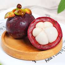The store manager recommends SF Express Thailand imported mangosteen 2 5 pounds seasonal fruit sweet glutinous fruit for pregnant women fresh old tree hemp