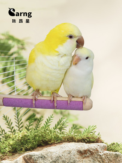 咔昂星鹦鹉站杆双拼魔爪站棍磨砂小鸟站架虎皮玄凤牡丹专用品玩具