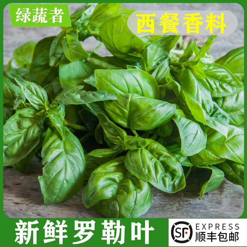 新鲜罗勒叶｜西餐灵魂香草！意面披萨青酱必备，厨房瞬间变高级餐厅！-罗勒叶-淘宝好物网
