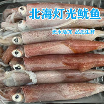 Sea-caught fresh large squid squid tube frozen seafood aquatic products fresh Beibu Gulf pen tube fish nudibranch 3 pounds
