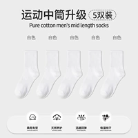 【5 пар - обновление качества】 White 5