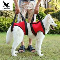 Paralyzed elderly dog ​​walking with front and rear leg auxiliary belts disabled golden retriever postoperative rehabilitation elderly dog ​​assisted walking
