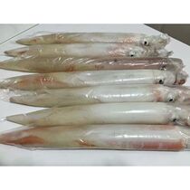 Donghai spicy authentic seafood fresh sea-caught squid frozen quick-frozen 400g fresh seafood squid