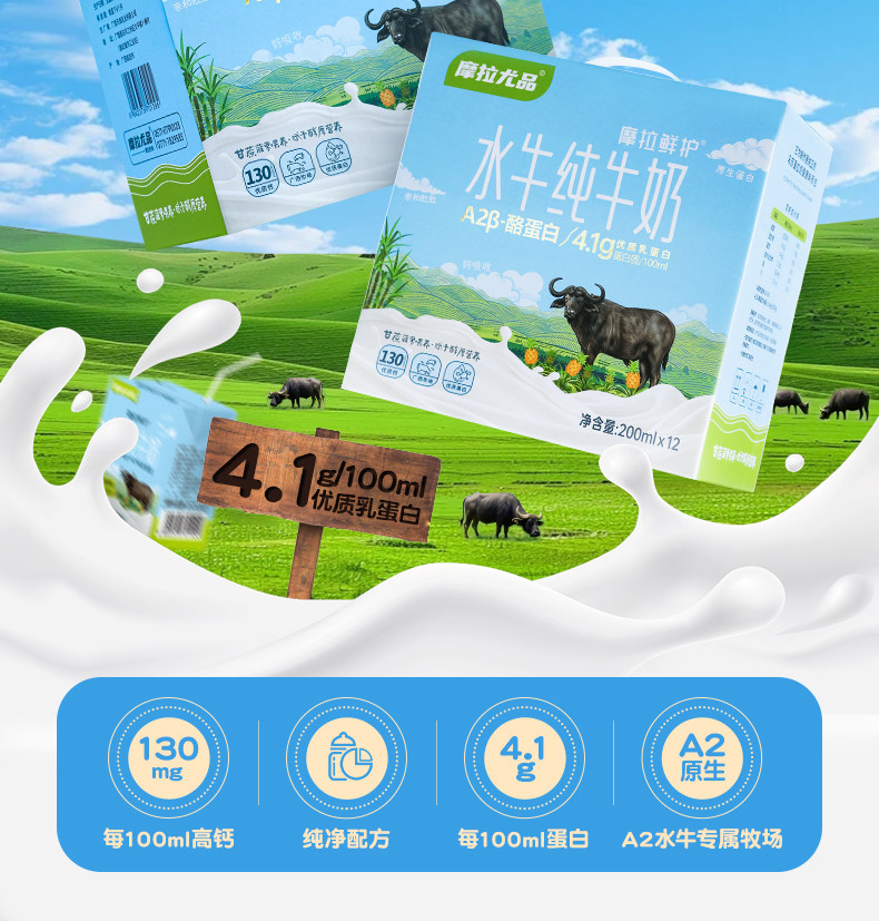 安享好物 安享B级纯奶-摩拉尤品A2 水牛纯牛奶 国标 