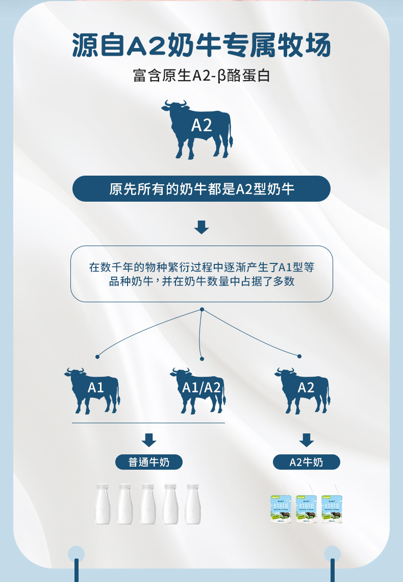 安享好物 安享B级纯奶-摩拉尤品A2 水牛纯牛奶 国标 