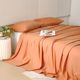 Thickened furry sheets single piece winter simple solid color cotton dormitory autumn and winter single double bed three-piece set