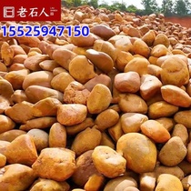 Ningxia yellow wax stone rockery stone outdoor fish pond landscaping edge stone river revetment stone natural rough stone Yellow River turtle