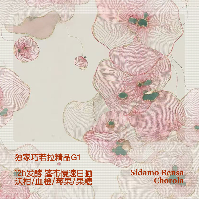 Exclusive 2026 Season Ethiopian Sidamo Chorora High-Altitude Premium Hand-Brewed G1 Shade-Dried Coffee