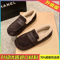 Модель обновления коричневого и бархата