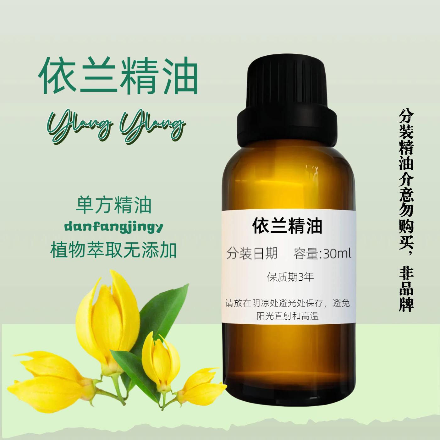 【異域風情】依蘭精油 調節油脂 浪漫香薰 Ylang Ylang Oil 依兰