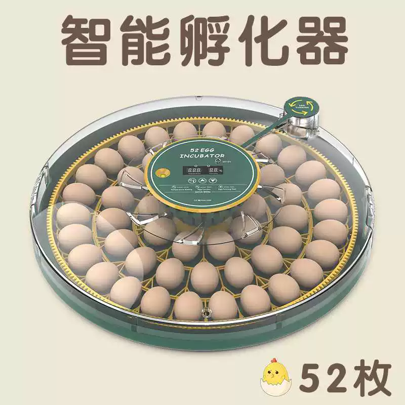 [跨境全自动宠物家用小型孵蛋器孵化器智能养殖专用设备鹦鹉芦丁鸡]