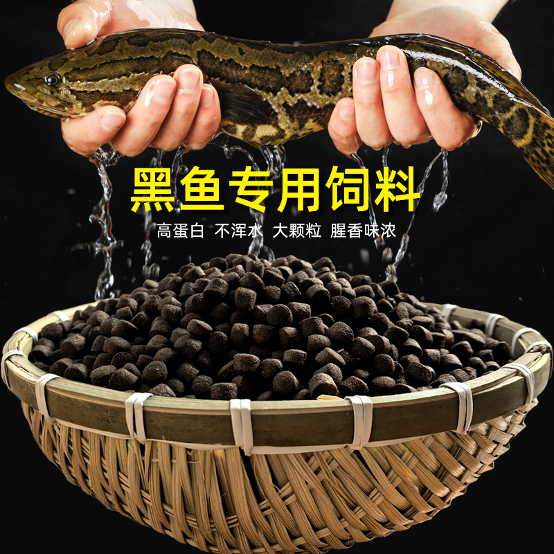 Fenghua Black Fish Feed, Live Fish, Fortune Fish, Black Fish, Seven-Star Fish, Professional Breeding Feed, High-Protein Floating Pellet Fish Food