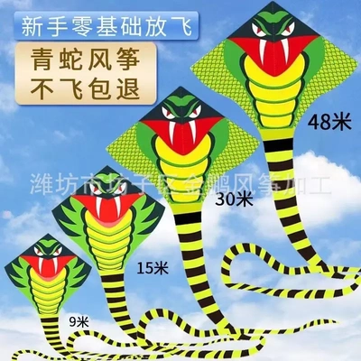 Boutique High -Send Big Snake Kite 30 метров Snake Children для взрослых взрослые длинный хвост.