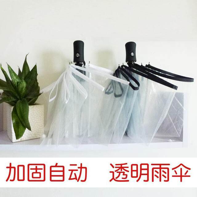 Transparent Umbrella, Good Quality, Korean Transparent Umbrella, Foldable, Automatic Opening and Closing, Forest Style, 70% off Models, for Men and Women, Students, Couples, Sunny Weather