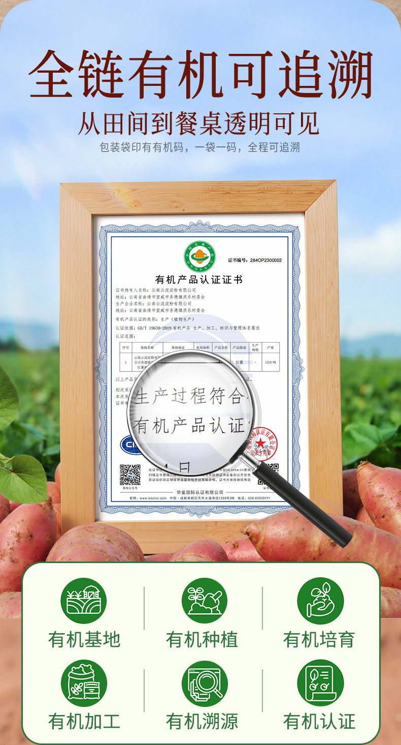 安享好物 安享S级红薯淀粉-展艺有机红薯淀粉 国标 