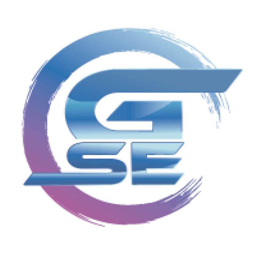 GSE海外旗舰店的LOGO