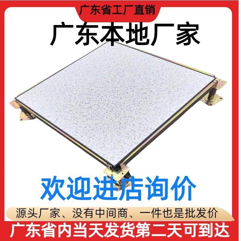 All-Steel Anti-Static Flooring Guangdong Guangzhou Pvc Anti-Static Flooring Ceramic Computer Room Raised 600*600 Anti-Static Flooring