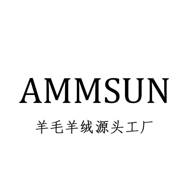 AMMSUN服饰