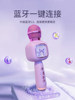 Children's Kuromi Microphone Toy Girl Karaoke Singing Machine Audio Integrated Microphone Girl's Birthday Gift