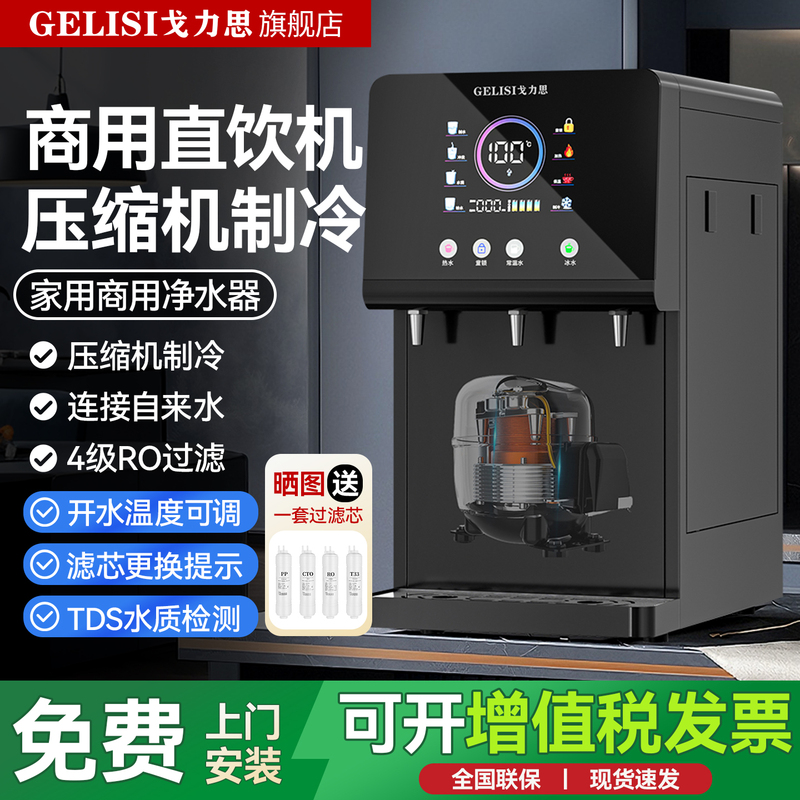 Gulis Desktop Drinking Purifier Heated Water Purifier Filtered Direct Drinking Water Machine Commercial Small Office Home All-In-One