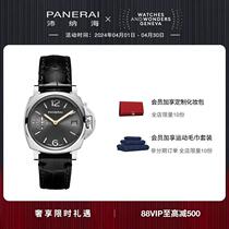 (Loluo Luxury) Official Lumino Durr 1247 Black Gray Plate Watch for Women