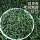 Shandong Rizhao Green Tea 2026 Новый чай в официальном флагманском магазине подлинно зеленого чая... mini 2