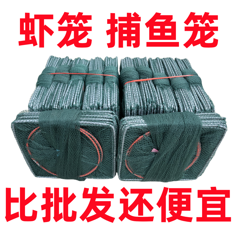 鱼网：捕捉灵动的生命之网